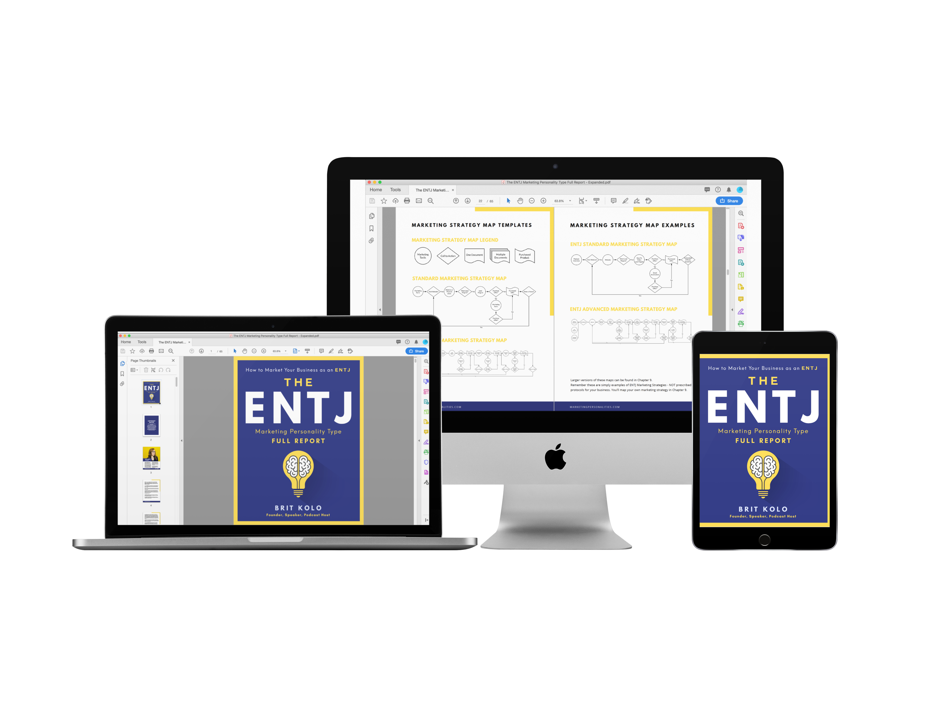 ENTJ Marketing Personality Type Full Report Product